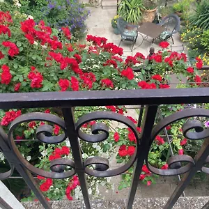 La Maison Des Augustins 4 Stars Et Fitness 4*, Avignone Francia